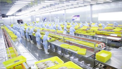 電子商務中的消費者權益保護